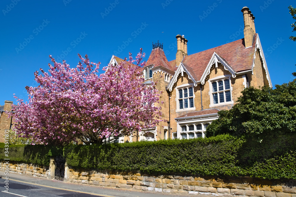 AdobeStock_343517871_Preview